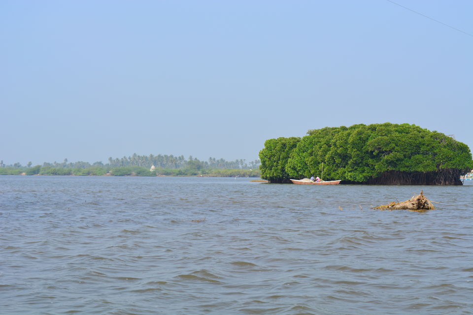 Photo of Road Trip to Pondicherry and Pichavaram - Gone travelling to edge of the sands by Prashant Agrawal