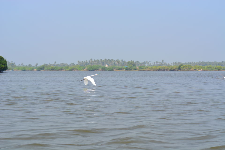Photo of Road Trip to Pondicherry and Pichavaram - Gone travelling to edge of the sands by Prashant Agrawal