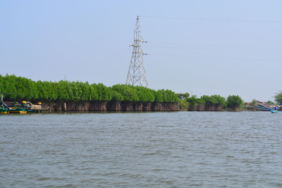 Photo of Road Trip to Pondicherry and Pichavaram - Gone travelling to edge of the sands by Prashant Agrawal
