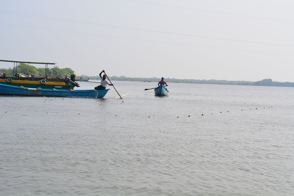 Photo of Road Trip to Pondicherry and Pichavaram - Gone travelling to edge of the sands by Prashant Agrawal