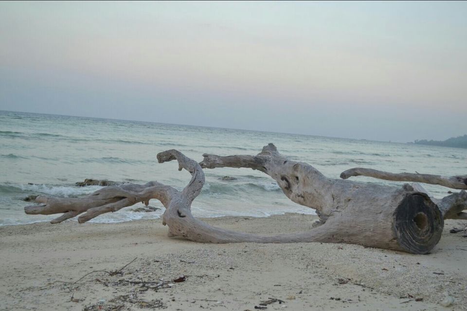 Photo of Neil Island, South Andaman, Andaman and Nicobar Islands, India by Priyanka Kori