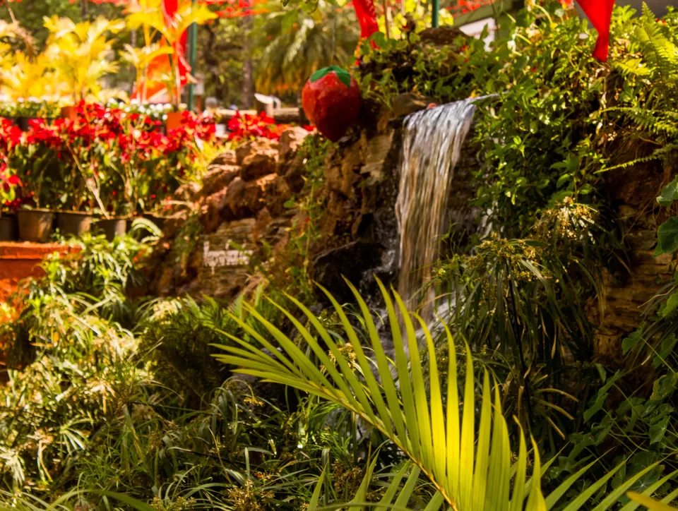 Photo of Panchgani, Panchgani, Maharashtra, India by asif shaikh