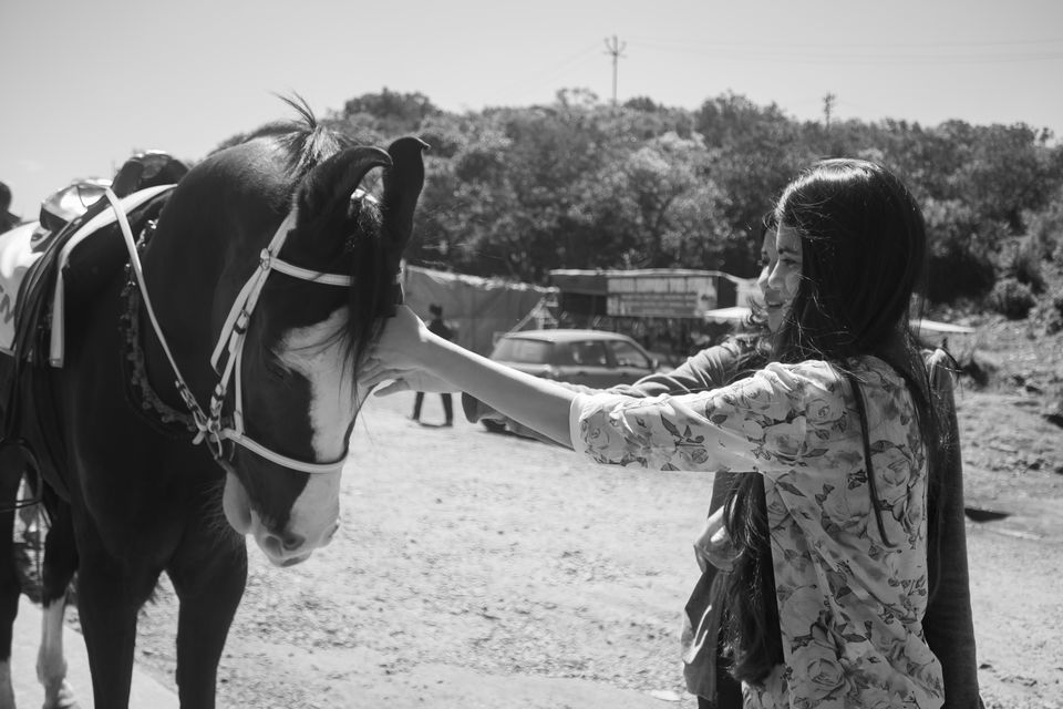 Photo of Mahabaleshwar by Esha Bharganwar
