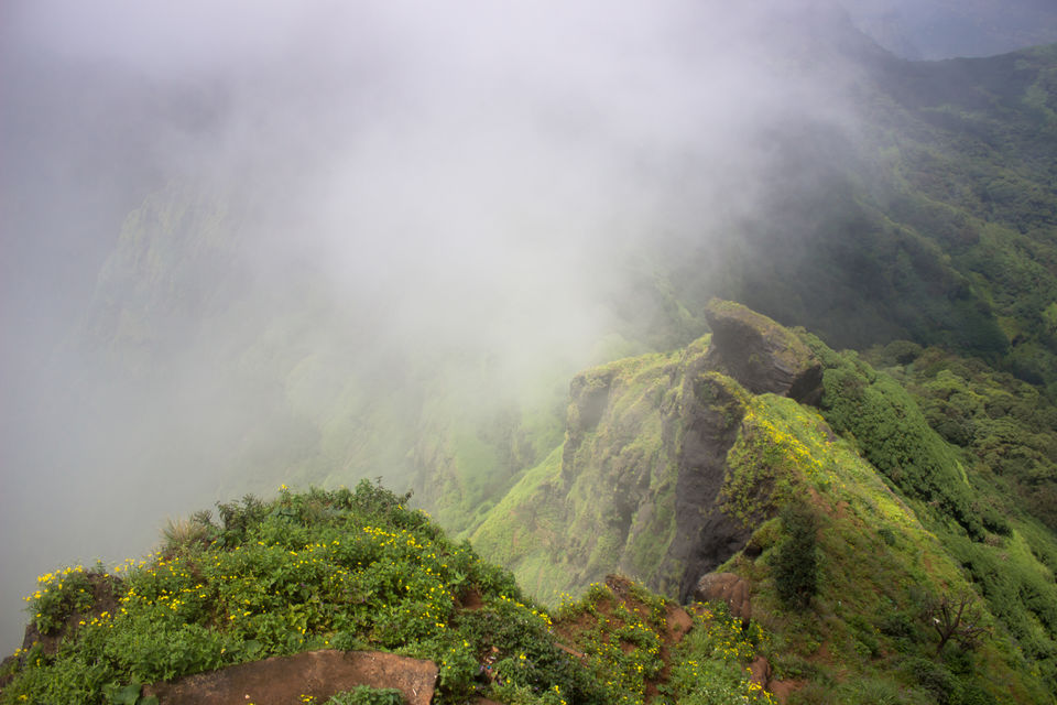 Photo of Mahabaleshwar by Esha Bharganwar