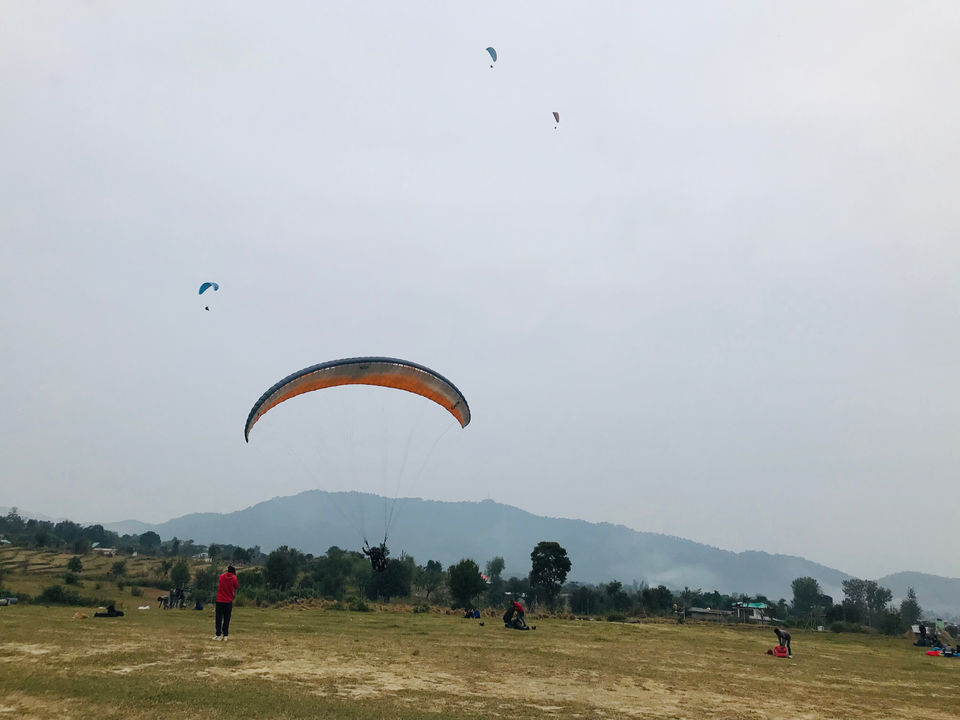 Photo of Fly Away in Bir billing by Nivedita Ahlawat