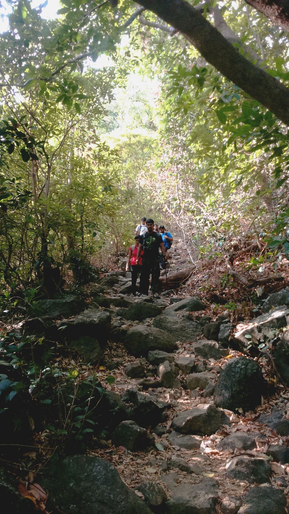 Photo of Memorable Pre-Monsoon Trek To Ratangad by Richa Chonkar