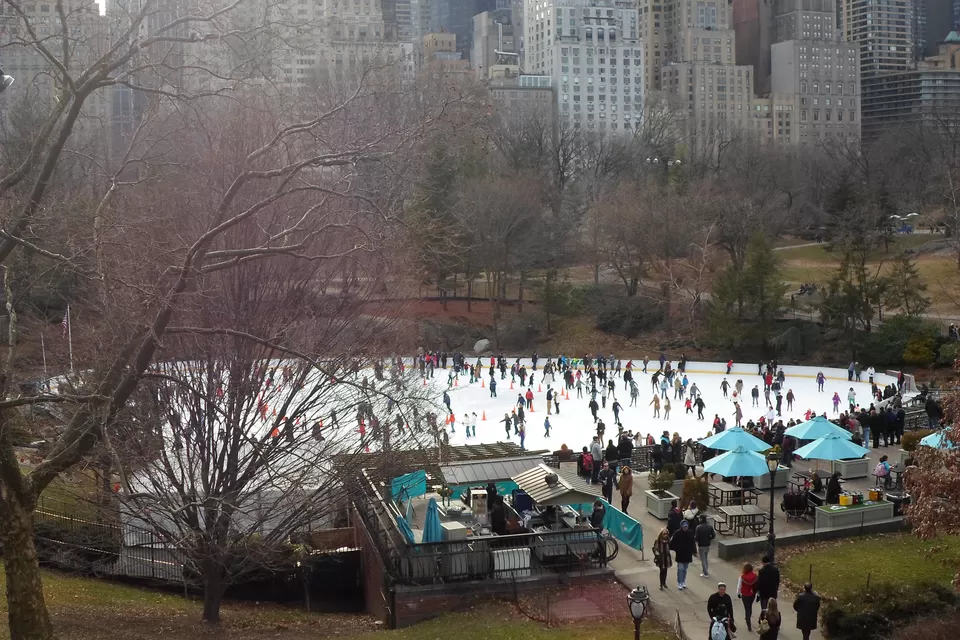Photo of Central Park, New York, NY, United States by Divay mittal