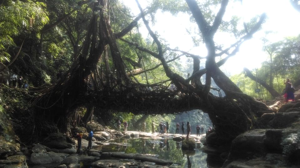 Photo of Time for many firsts - Girls Trip to the North-East India 3/31 by Megha Arora