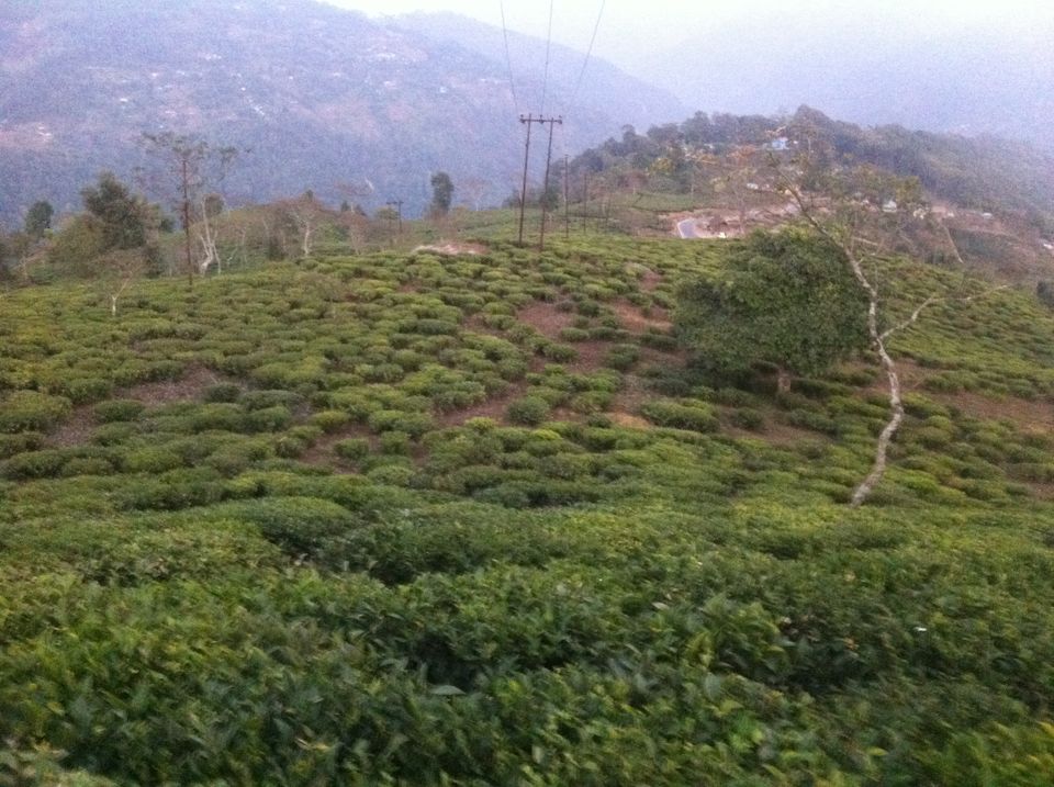 Photo of Time for many firsts - Girls Trip to the North-East India 28/31 by Megha Arora