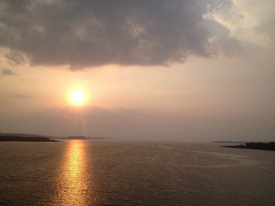 Photo of What in the world would be hanGOAover cure? 2/9 by Megha Arora