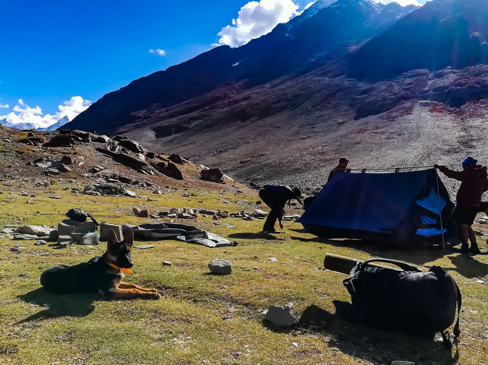 Photo of Batal, Himachal Pradesh, India by Vivek Kumar