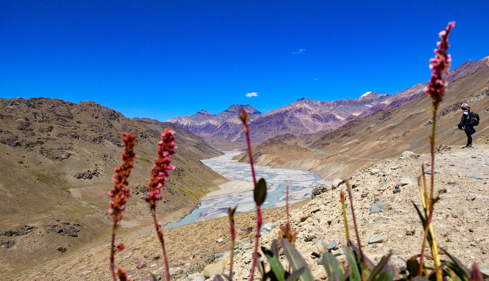 Photo of Chandra Taal : The Elusive Mountain Beauty by Vivek Kumar