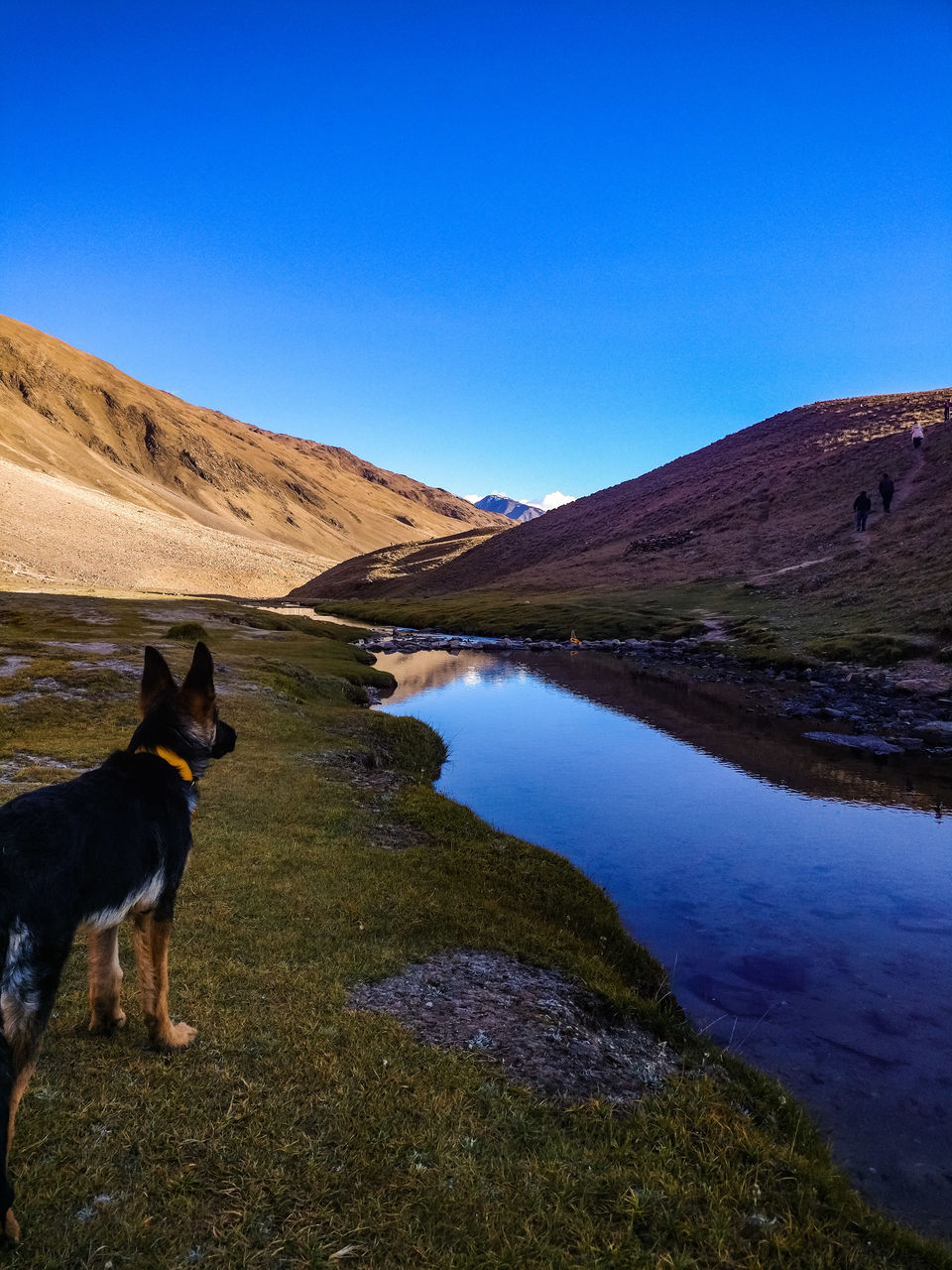 Photo of Chandra Taal : The Elusive Mountain Beauty by Vivek Kumar