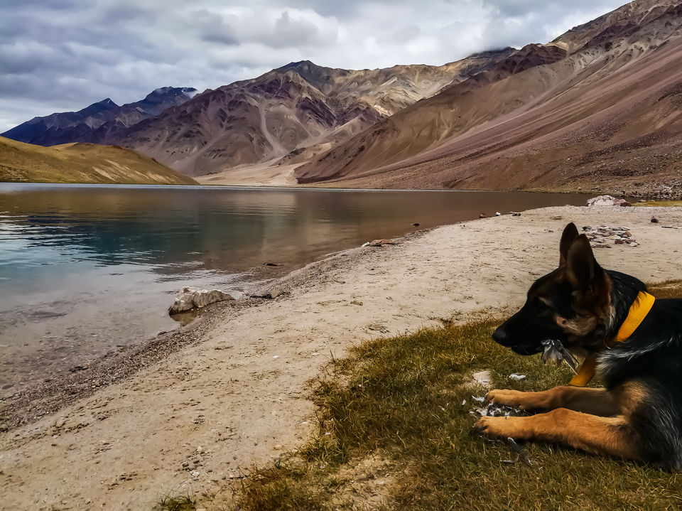Photo of Chandra Taal : The Elusive Mountain Beauty by Vivek Kumar