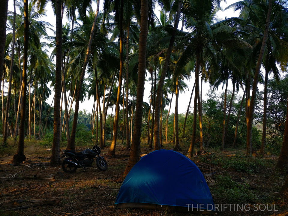 Photo of Kickstarting 2018 : From Dapoli to Korlai Fort... 9/34 by Vivek Kumar