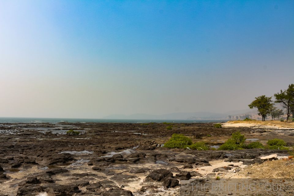 Photo of Kickstarting 2018 : From Dapoli to Korlai Fort... 18/34 by Vivek Kumar