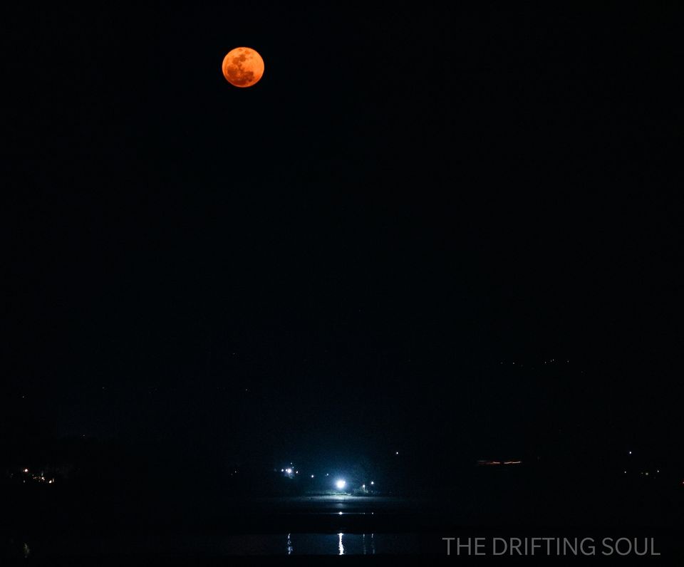 Photo of Kickstarting 2018 : From Dapoli to Korlai Fort... 34/34 by Vivek Kumar
