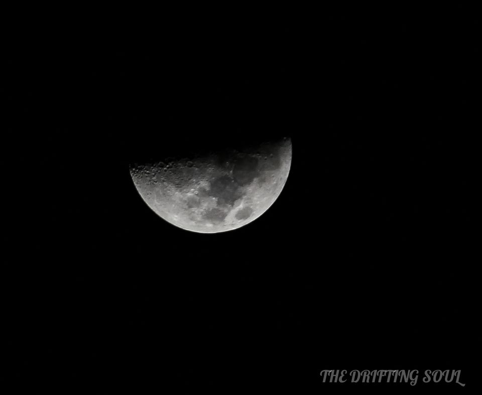Photo of Olive Ridley Turtle Fest : Anjarle by Vivek Kumar