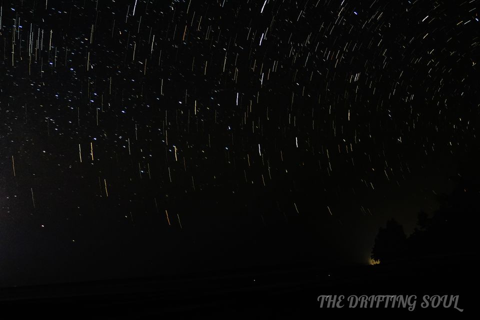 Photo of Olive Ridley Turtle Fest : Anjarle by Vivek Kumar