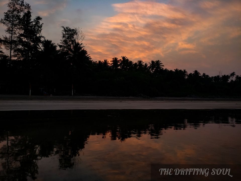 Photo of Olive Ridley Turtle Fest : Anjarle by Vivek Kumar
