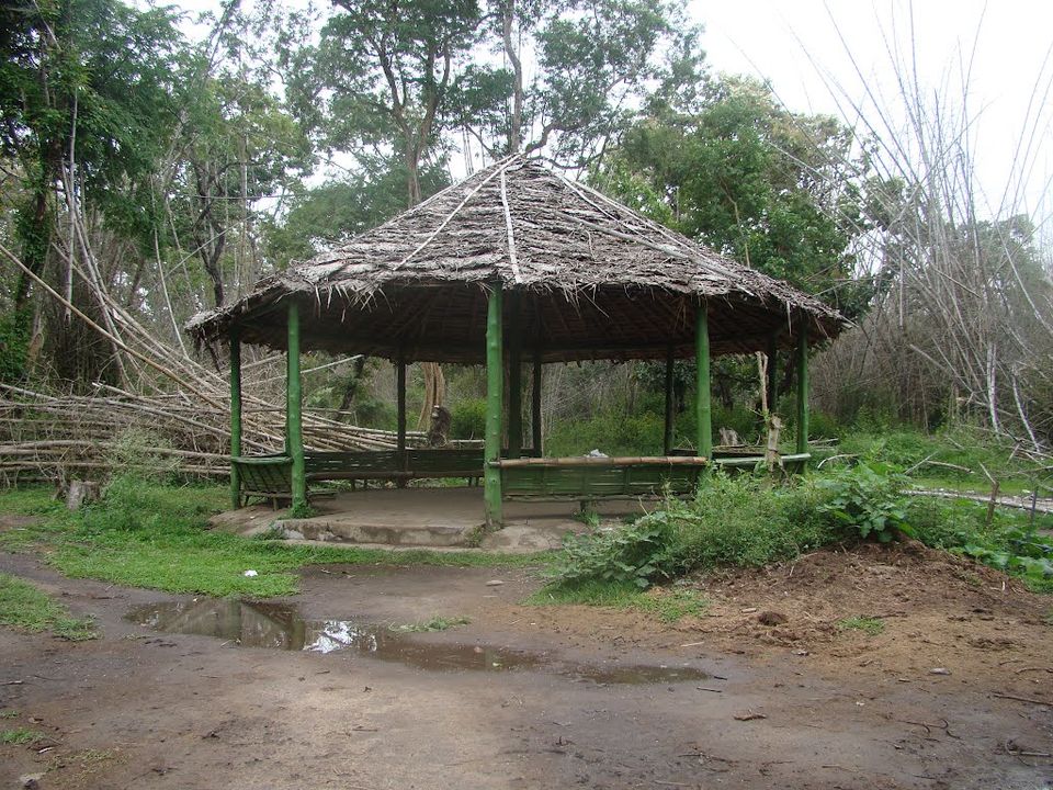Photo of Tourist Places In Karnataka That Will Give Every Traveller Major Goals 4/6 by Karthik Rao V