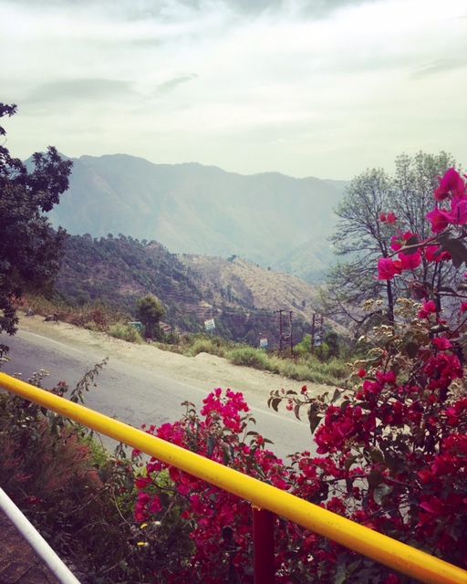 Photo of Once upon a time in Lansdowne 6/11 by Akshita Raut
