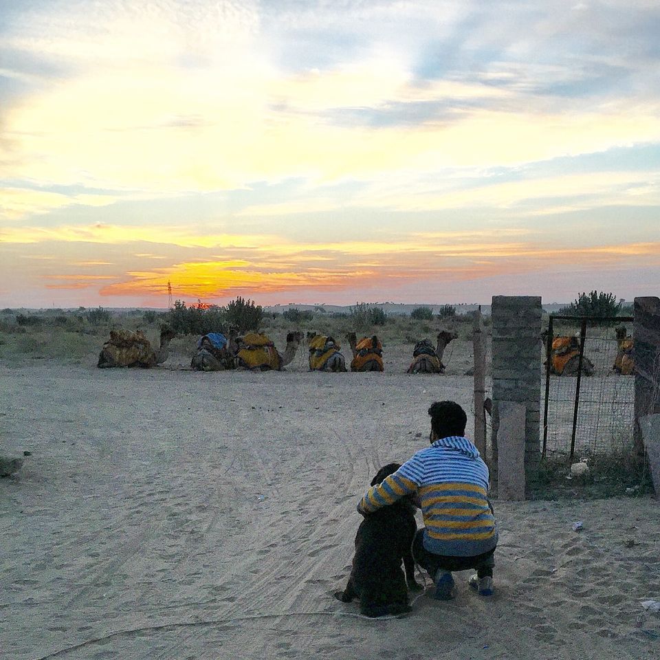 Photo of Lost in the Right direction- Rajasthan 22/45 by SHASHANK