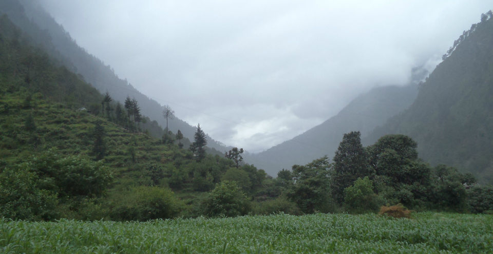 Photo of Delhi to Gushaini Trip: A perfect place to unwind this summer 1/24 by Rachel Arora