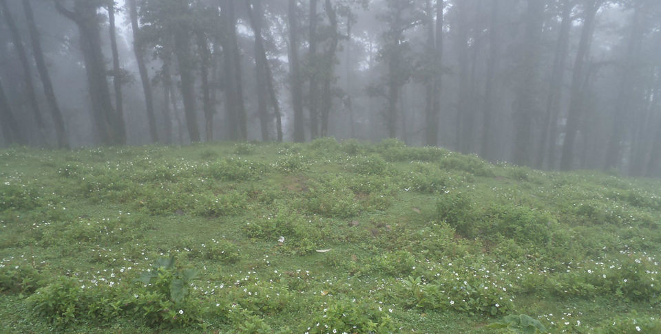 Photo of Offbeat romantic escapades in Himachal Pradesh: Turn the heat on 3/10 by Rachel Arora