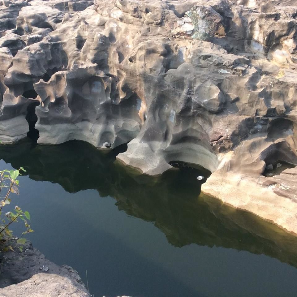 Photo of Nighoj and Beyond 3/20 by Devyani