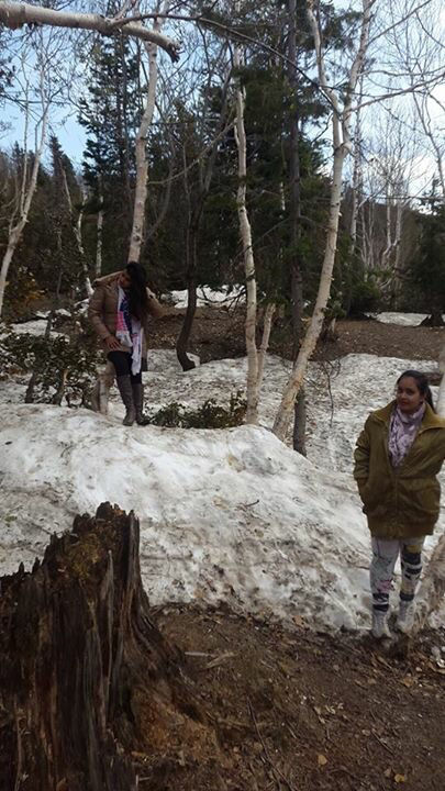 Photo of A trip from Delhi to Manali ☃ by Sonam Singh