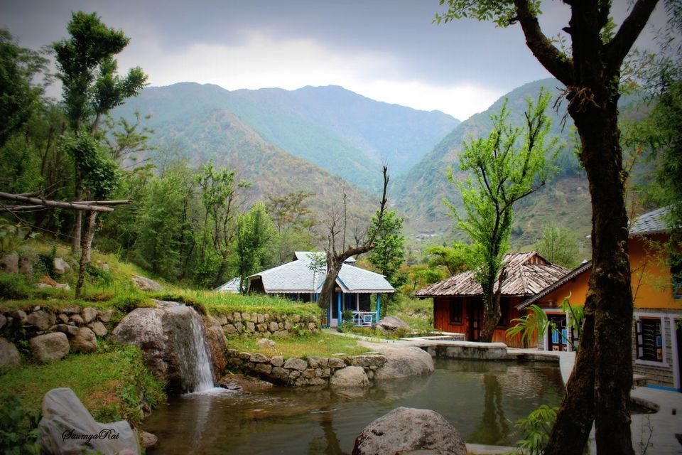 Photo of Palampur-The perfect weekend getaway! 6/8 by Road to Taste