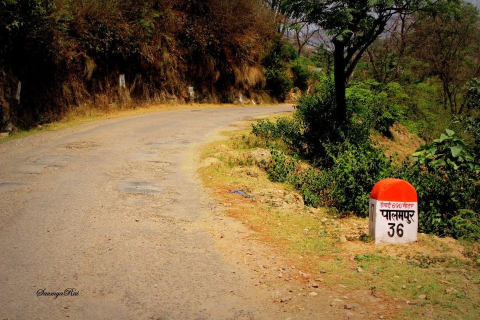 Photo of Palampur-The perfect weekend getaway! 8/8 by Road to Taste