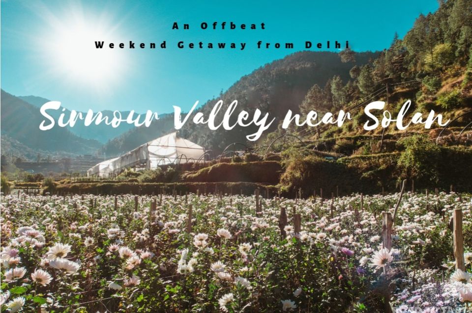 Photo of Sirmour Himachal Pradesh by Road to Taste