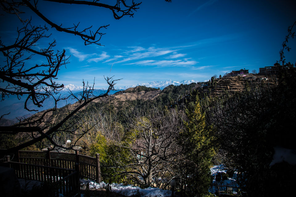 Photo of The Terraces, Kanatal: Here's Why This Property Deserves To Be Your Next Staycation Destination by Road to Taste