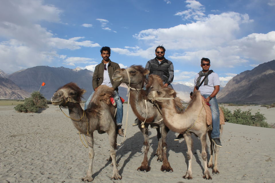 Photo of 1 Destination, 2 Bulls, 3 Freaky Travelers, 5 States, 13 Days, 3300 Kilometres: How we got Leh'd 21/26 by Yash Saxena