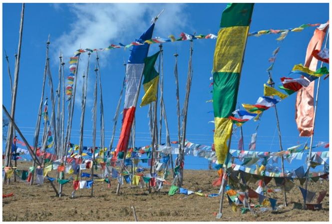 Photo of Bhutan- "The Land of Mountains & Happiness" by Yash Saxena