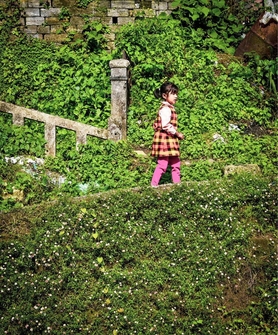 Photo of The DARJEELING by Susnata