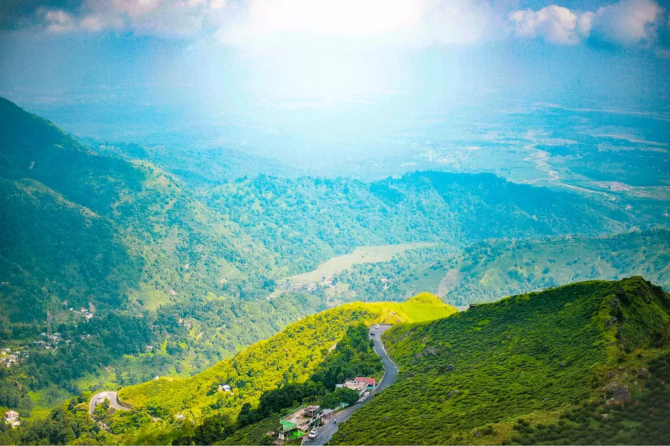 Photo of The DARJEELING by Susnata