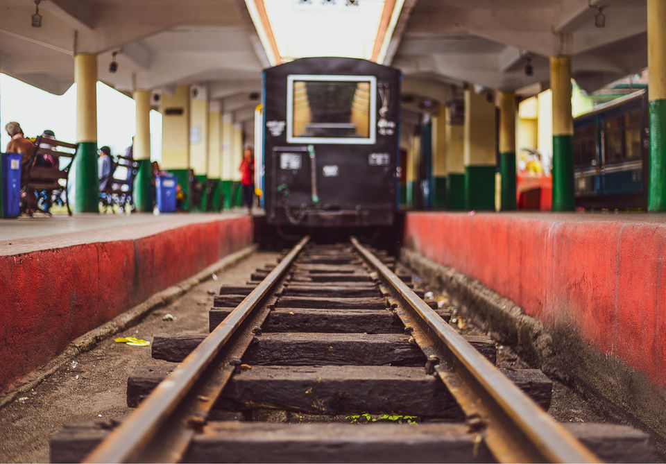 Photo of The DARJEELING by Susnata