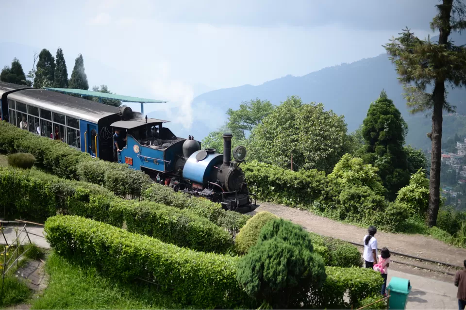 Photo of The DARJEELING by Susnata