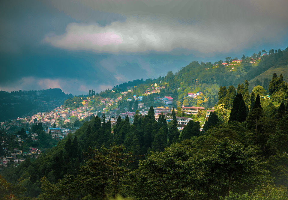 Photo of The DARJEELING by Susnata
