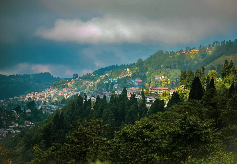 Photo of The DARJEELING by Susnata