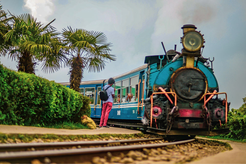 Photo of The DARJEELING by Susnata