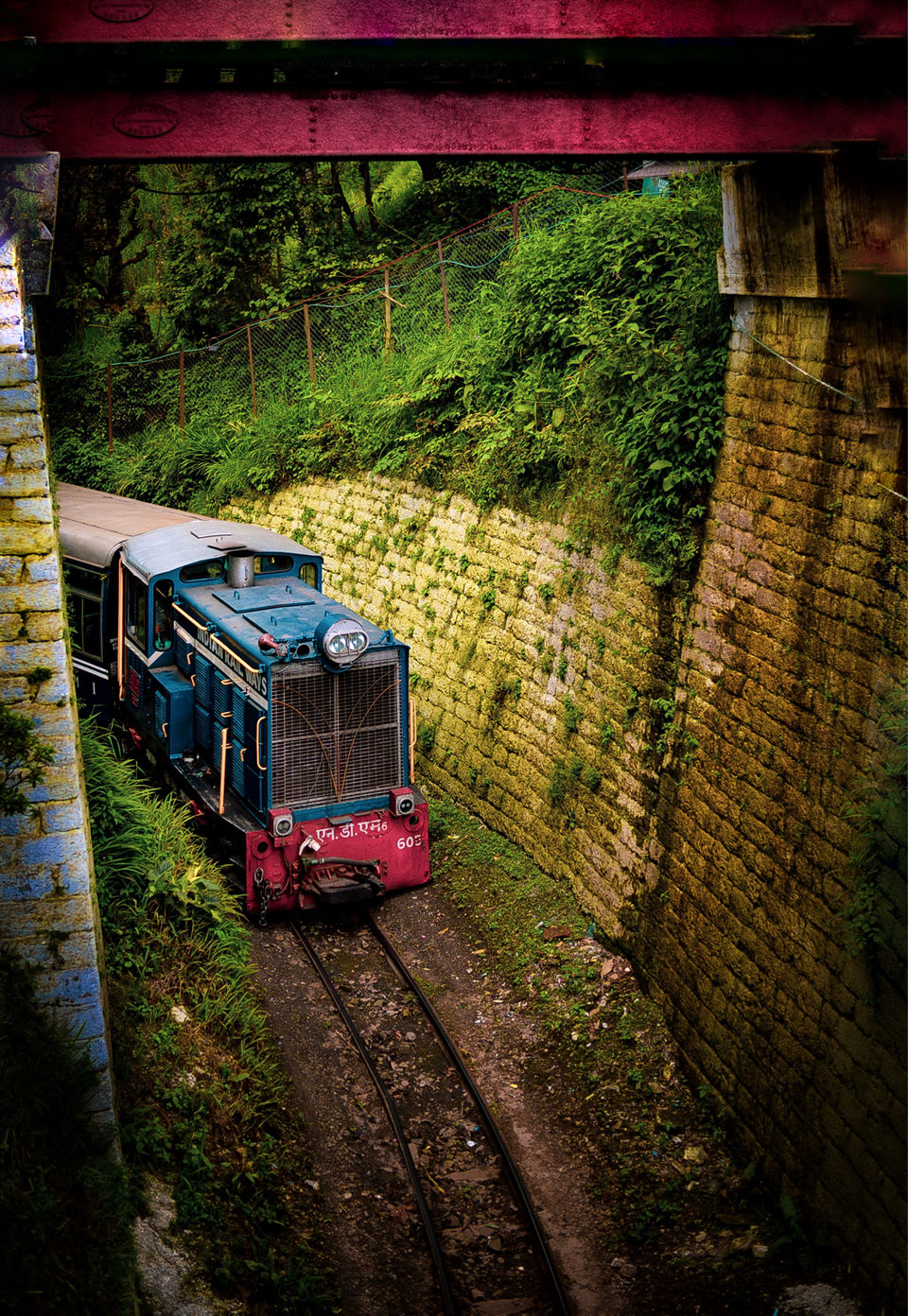 Photo of The DARJEELING by Susnata