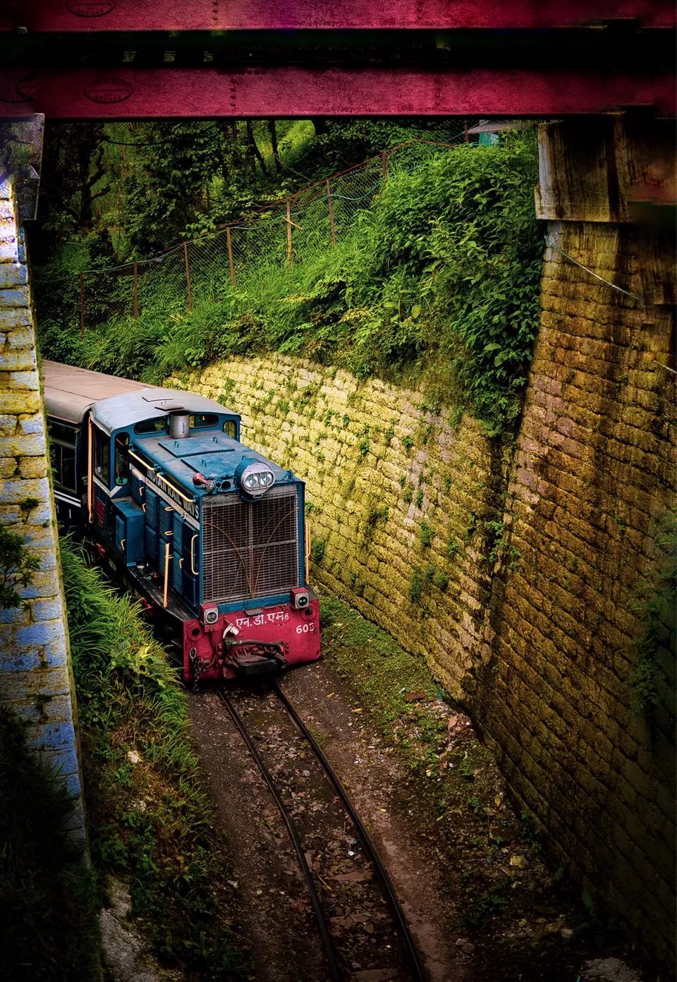 Photo of The DARJEELING by Susnata