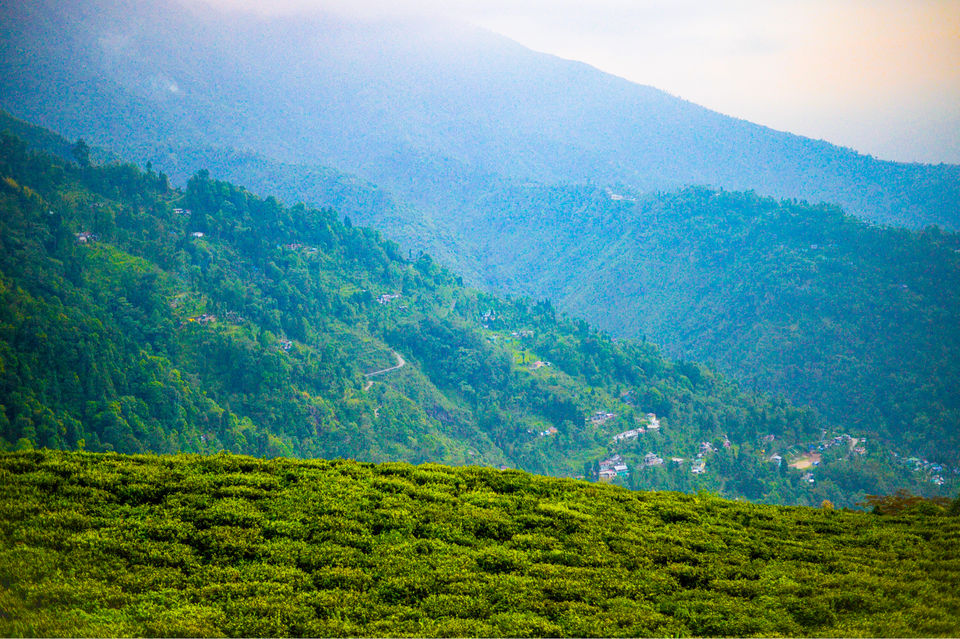 Photo of The DARJEELING by Susnata