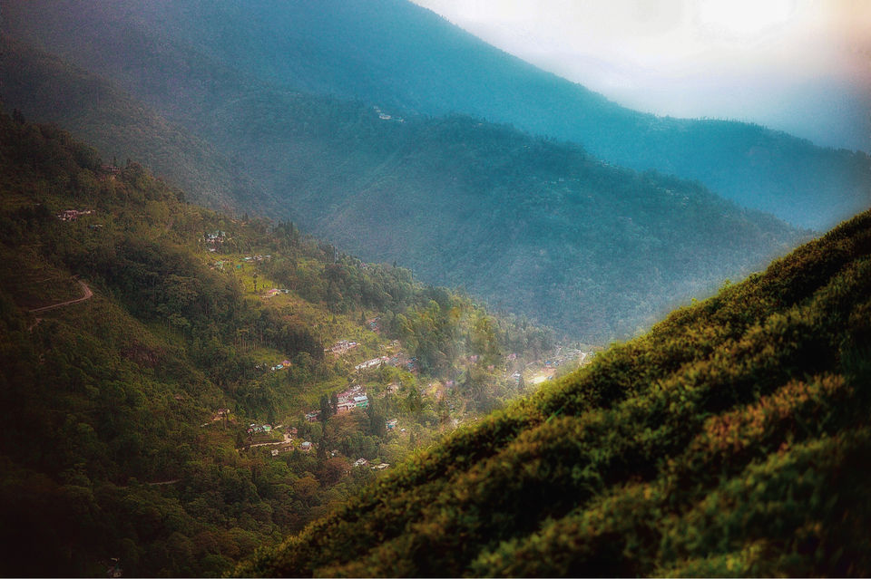 Photo of The DARJEELING by Susnata