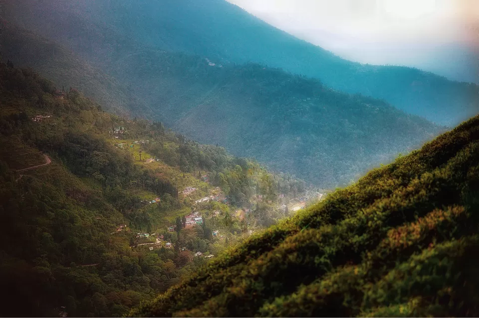 Photo of The DARJEELING by Susnata