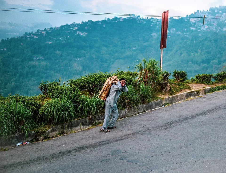 Photo of The DARJEELING by Susnata